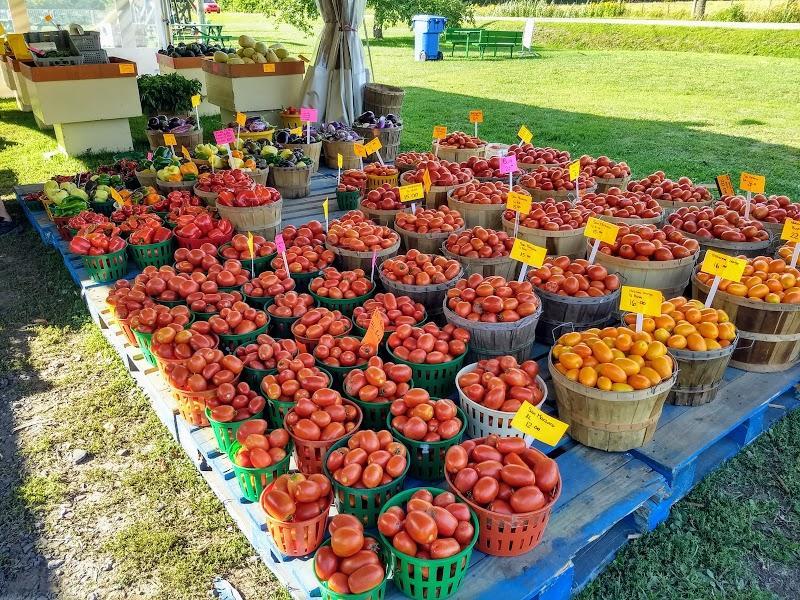 CanaGuide,prunier,arbre fruitier,cerisier,jardin fruitier,récolte,plantation,poirier,pommier,pépinière,arboriculture,Potager Mont-Rouge Halte Gourmande | Verger & Boutique | Orchard & Boutique,Rougemont,fruits,abricotier, Potager Mont-Rouge Halte Gourmande | Verger & Boutique | Orchard & Boutique - Verger à Rougemont (Quebec) | CanaGuide